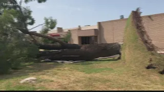 Gale-force wind, rain from monsoon rolls through the Valley