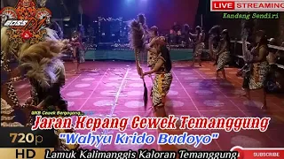 Jaran Kepang Cewek TMG//"Wahyu Krido Budoyo"//Lamuk Kalimanggis//Live Kandang Sendiri//090623