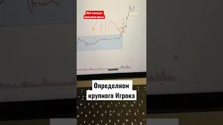 Определяем Крупного Игрока в Моменте Времени! #криптовалютаобучение