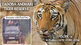 TADOBA-ANDHARI TIGER RESERVE | Kolara Gate | Core Zone | Ep 2 in Hindi | CHOTI TARA | Safari | MAYA