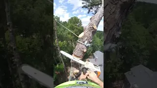 Sending.  #sendit #wow #howto #northcarolina #climbing #tree