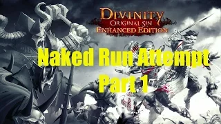 Divinity Original Sin EE From multiple requests here comes my Naked run!