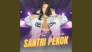 Santri Pekok