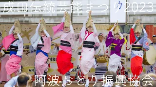 Awaodori All-Stars, extremely popular at Narita Traditional Performing Arts Festival 2023