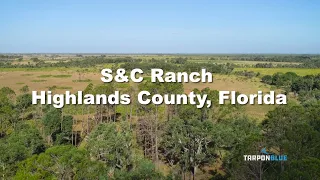 S&C Ranch (approx. 15,500 acres). Highlands County, Florida is a Quail & Turkey Hunter's Paradise!