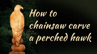 How to chainsaw carve a perched hawk or eagle Part 2
