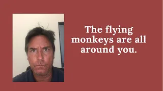 What is a flying monkey?