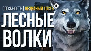 ЧЁРНЫЙ КАМЕНЬ ► THE LONG DARK (НЕЗВАНЫЙ ГОСТЬ) # 8