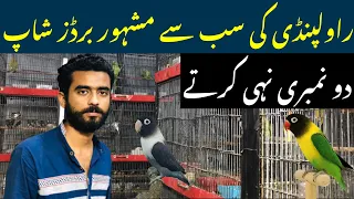 College road birds market Rawalpindi | MIK birds Shop@zakirhussainshah6234