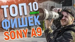 Sony a9 v5 - Революция в трекинге AF + тест "пушки" 400mm F2.8