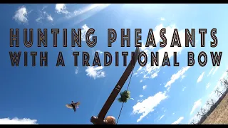 Pheasant Hunting with a Traditional Bow |Slow Motion|(one hit)