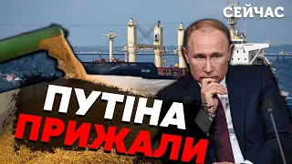 💥Ого! Кремль відновить ЗЕРНОВУ УГОДУ. Путіна ПРИЖАЛИ. Буде ЖЕСТ доброї волі - Братчук