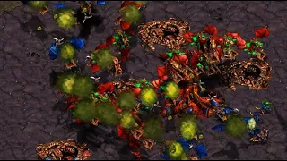 Larva 🇰🇷 (Z) vs PitbullTerrier 🇰🇷 (Z) on Fighting Spirit - StarCraft - Brood War REMASTERED