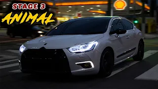 DS4 STAGE 3 | VEIO QUASE 300HP