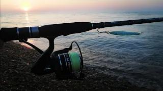 LURE FISHING FOR BASS - EASTBOURNE SUMMER FISHING - AMAZING SUNRISE & LOTS OF FISH - EPIC SESSION 🎣