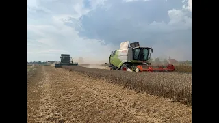 Zniwa 2023 na Dużą skale w GR BIS! - John Deere T560i - Claas Tucano 420