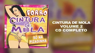 Forró Cintura de Mola  (CD Vol 2 COMPLETO)