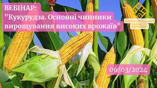 Вебінар "Кукурудза. Основні чинники вирощування високих врожаїв"