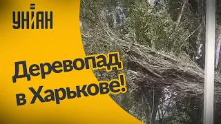 Последствия урагана в Харьквое