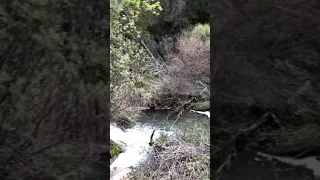 Cascada del Saltador, en Arguellite, yeste