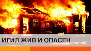 ИГИЛ жив и очень опасен: почему террористы снова свирепствуют