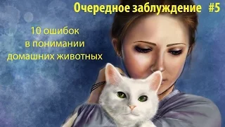 10 ошибок в понимании домашних животных. Удивительное о поведении кошек, собак, домашних питомцев