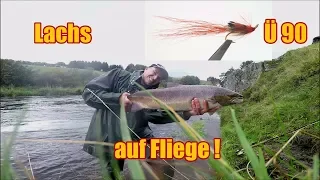 Action am kleinlachsfluss / Lachsdrill / Lachsangeln / Lachs auf Fliege