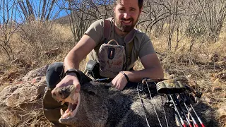 DIY Arizona Archery Javelina Hunt!!!  S7E10| Limitless Outdoors