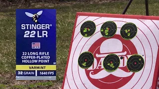 Ruger American 22LR Accuracy Test