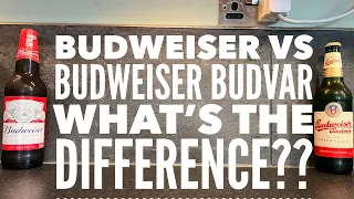 Budweiser Vs Budweiser Budvar | What's The Difference Let's Find Out