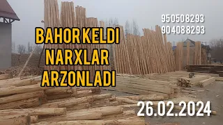 Terak bozor narxlari arzonladi 26.02.2024 Bahor kelib narxlar tushib ketti😱😱😱😱