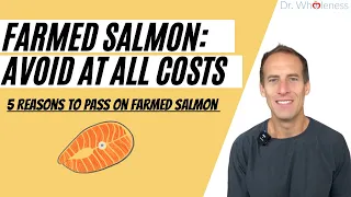 Farm Raised Salmon vs Wild Caught Salmon