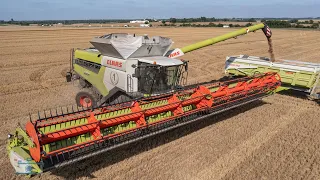 CLAAS LEXION 8900 - 14M - BIGGEST COMBINE HARVESTER - TERRA TRAC - IN FRANCE 🇫🇷