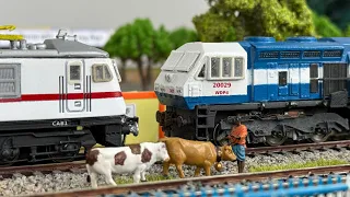 HO Scale WAP 7 & WDP 4 Pulling Humsafar | HO Scale Indian Model Trains