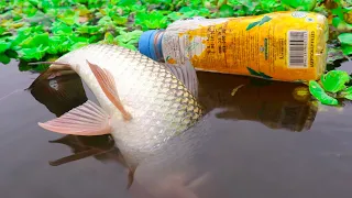 Unique Fishing Trap | Smart Boy Fish Catching By Hook Plastic Bottle | Best Fishing 2021