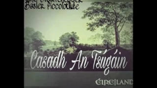 Casadh An Tsúgáin - Cover Version - Basler Piccoloflute