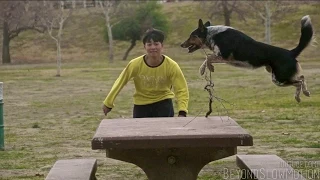 Incredible Parkour Dog! - Feat. Jumpy & Alex (BeyondSlowMotion)