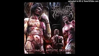 Human Chunks - Anatomical Artistic Deviancy (2014 - Full Album)