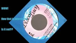 Disco Lucy (I Love Lucy Theme) - Wilton Place Street Band (45)