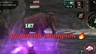 The Wolf - Mammoth Champion 💎 | The wolf online simulator