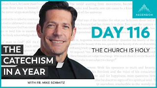 Day 116: The Church Is Holy — The Catechism in a Year (with Fr. Mike Schmitz)