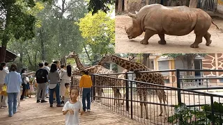 Guangzhou Zoo || Walking Tour || China