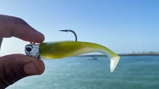 Catching BIG Snook On The 3’ NLBN Paddle Tail & Live Bait Off The Jetty (INSANE)