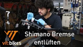 Shimano Bremse entlüften Teil 2 - Entlüften - vit:bikesTV 197