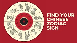 The 12 Chinese Zodiac Signs | Which Chinese Animal Sign Are You & What It Reveals About You