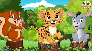 Lovely Animal Sounds: Leopard, Squirrel, Donkey -  Animal Videos