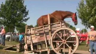 HORSE- POWERED GRAIN SEPARATOR