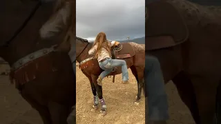 Beautiful rider / Horse / Horseback Riding / Прекрасная наездница / Конный спорт