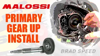 Malossi Primary Gear Up Install - Aprilia SR50R / Piaggio Engine