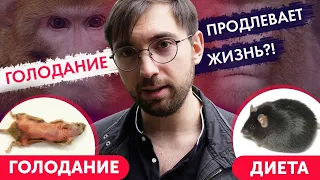 Голодание продлевает или СОКРАЩАЕТ жизнь?! Разбор исследований